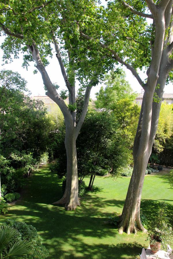 Suite Garden View